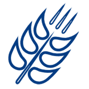 育種測(cè)產(chǎn)